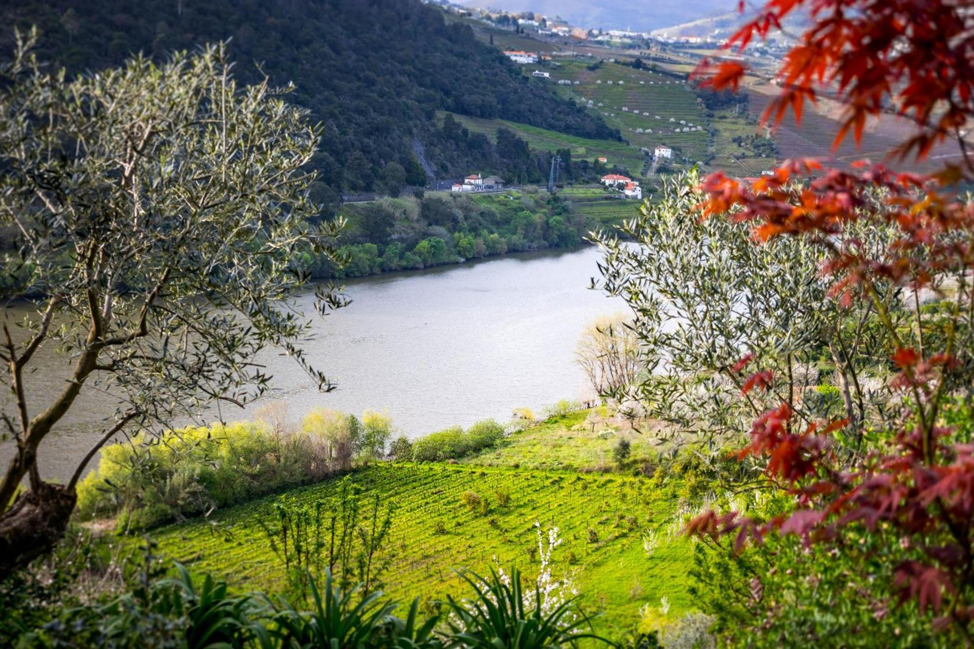 Fraga Douro House, Douro Valley Resende Exterior foto